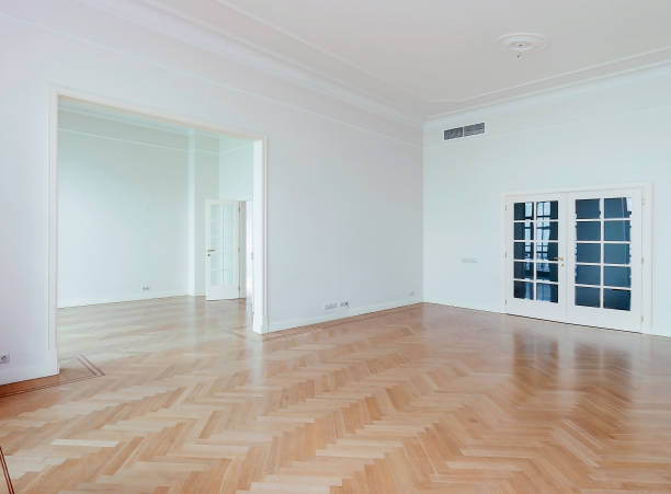 Painting and Fine Art